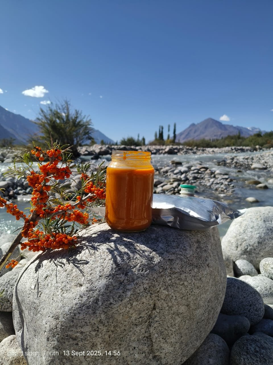 Seabuckthorn Pulp